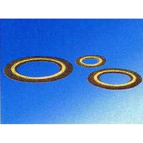 Spiral Wound Gasket With Inner & Outer Ring