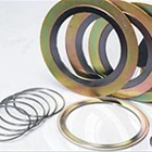 Spiral Wound Gasket With Inner Ring 2